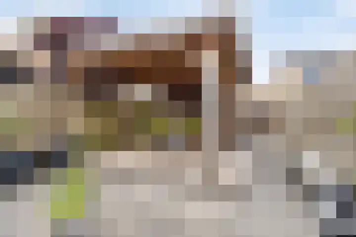 Roerdomp 49 Meppel thumbnail 28