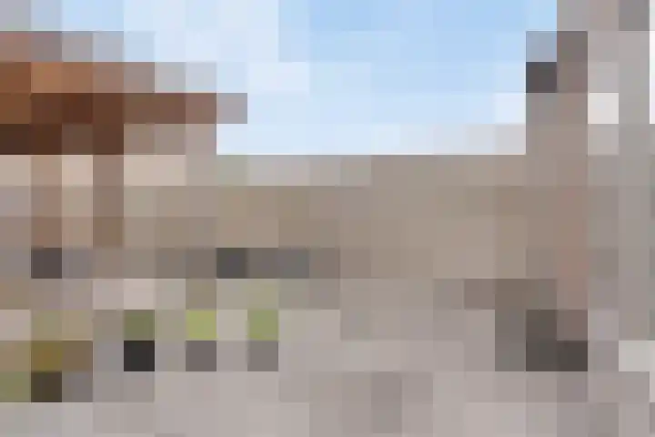 Roerdomp 49 Meppel thumbnail 30