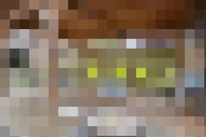 Roerdomp 49 Meppel thumbnail 31