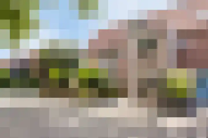 Roerdomp 49 Meppel thumbnail 34