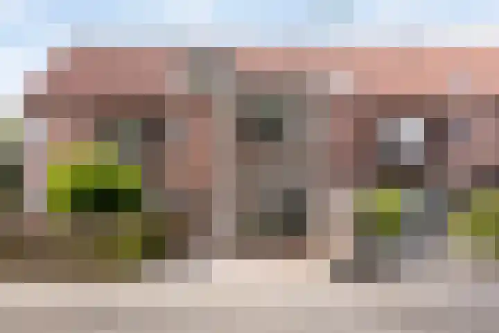 Roerdomp 49 Meppel thumbnail 35