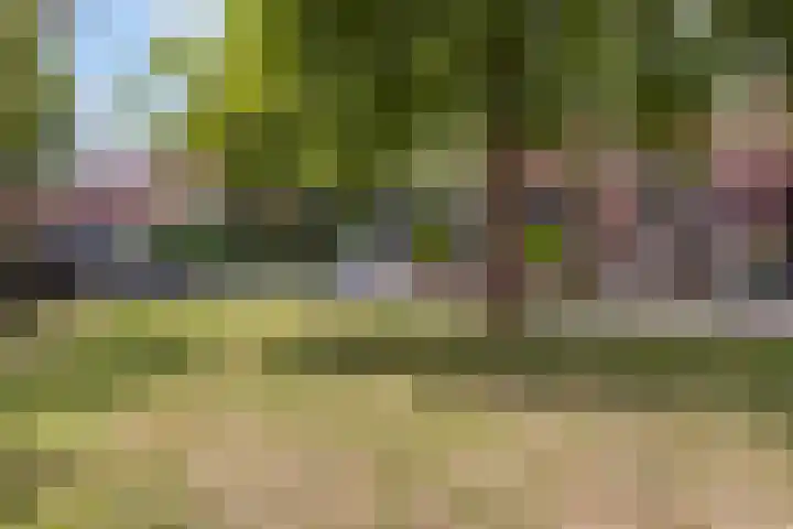 Roerdomp 49 Meppel thumbnail 36