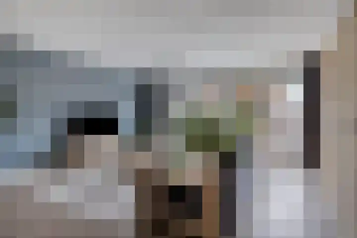 Roerdomp 49 Meppel thumbnail 4