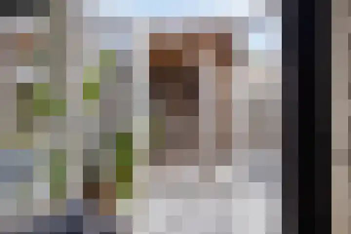 Roerdomp 49 Meppel thumbnail 5