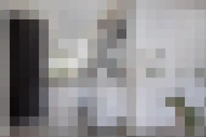 Roerdomp 49 Meppel thumbnail 6