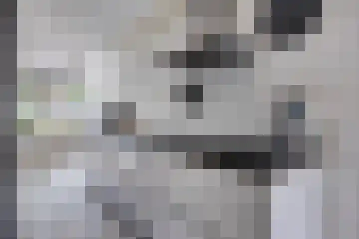 Roerdomp 49 Meppel thumbnail 8