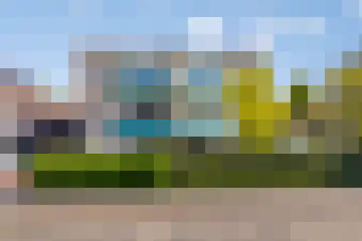 Roerdomp 5 in Rijssen