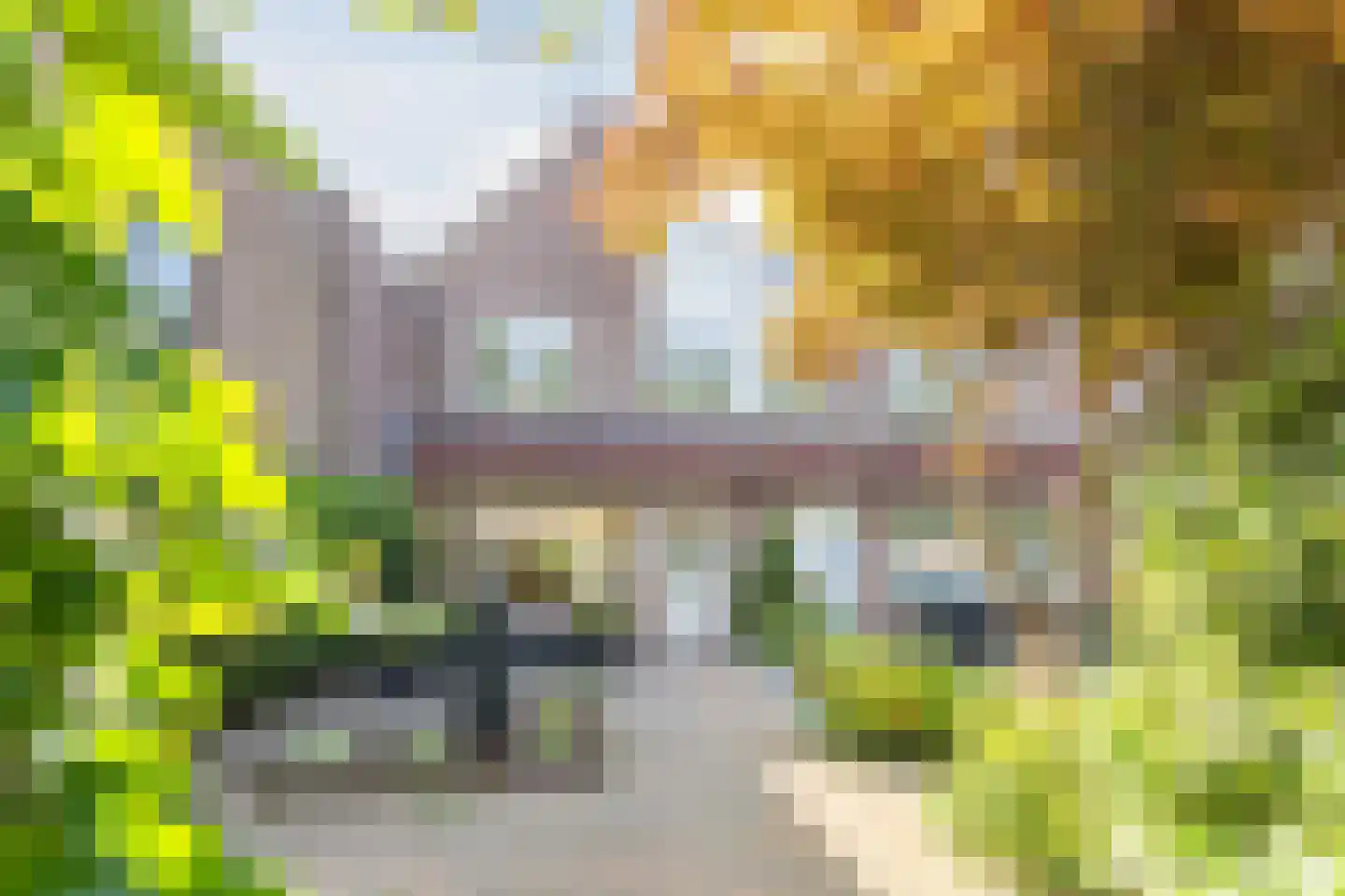 Roerdomp 5 Mijdrecht