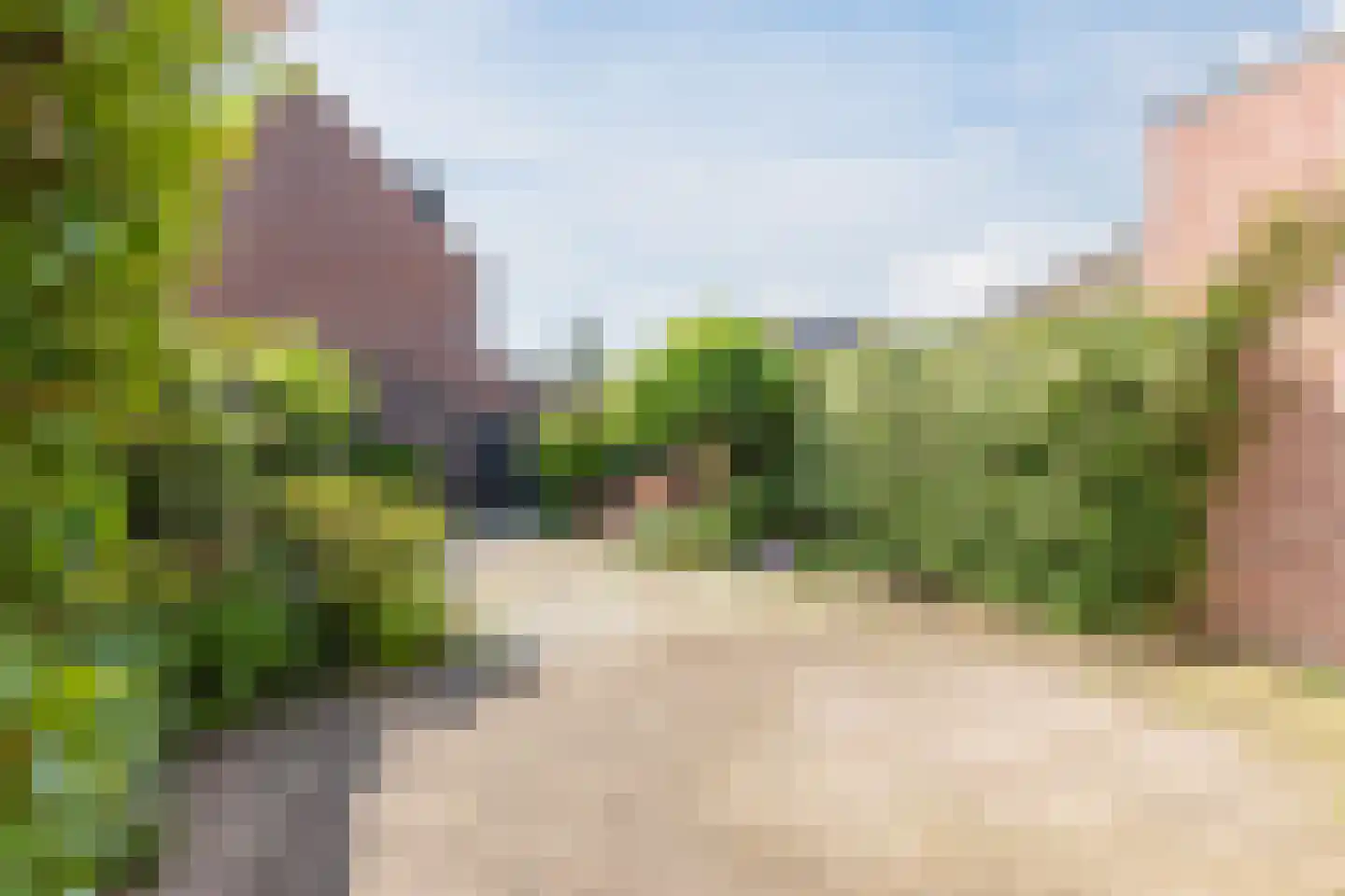 Roerdomp 5 Mijdrecht thumbnail 26