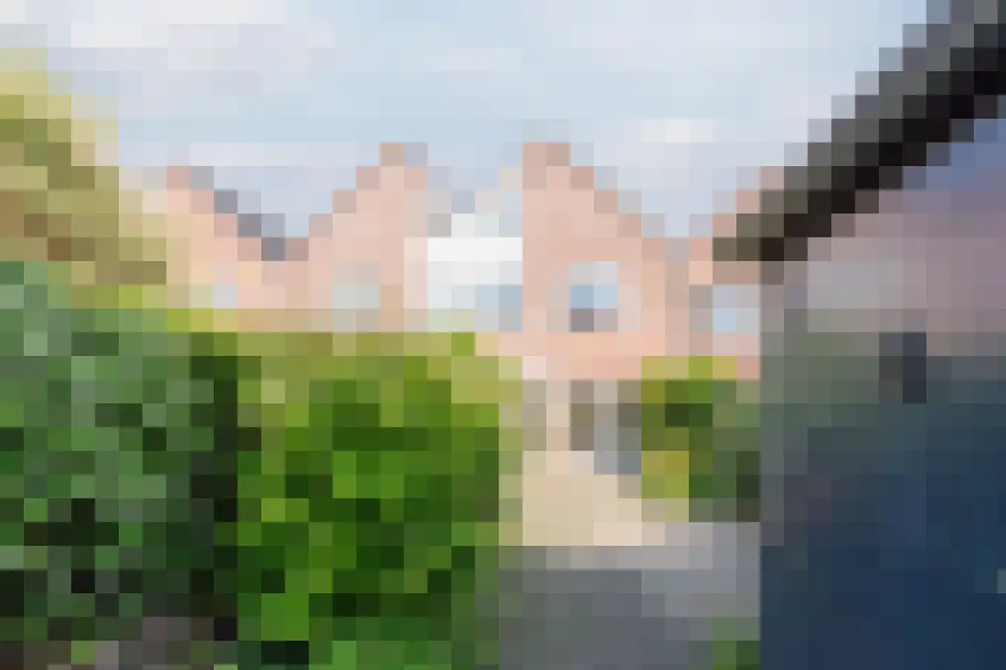 Roerdomp 5 Mijdrecht thumbnail 27
