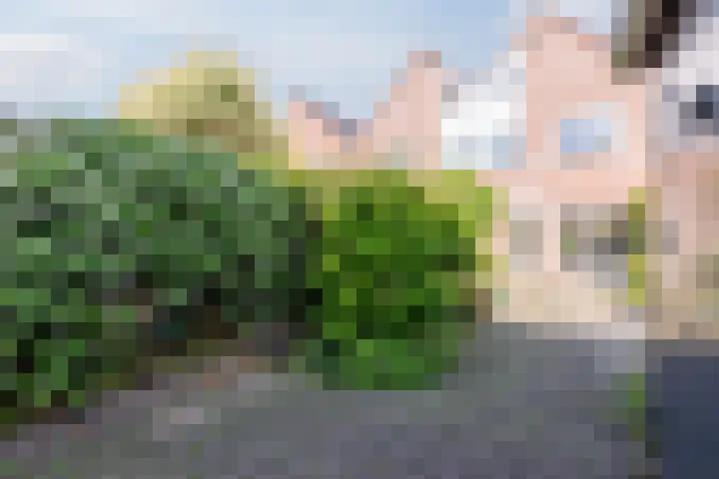 Roerdomp 5 Mijdrecht thumbnail 28