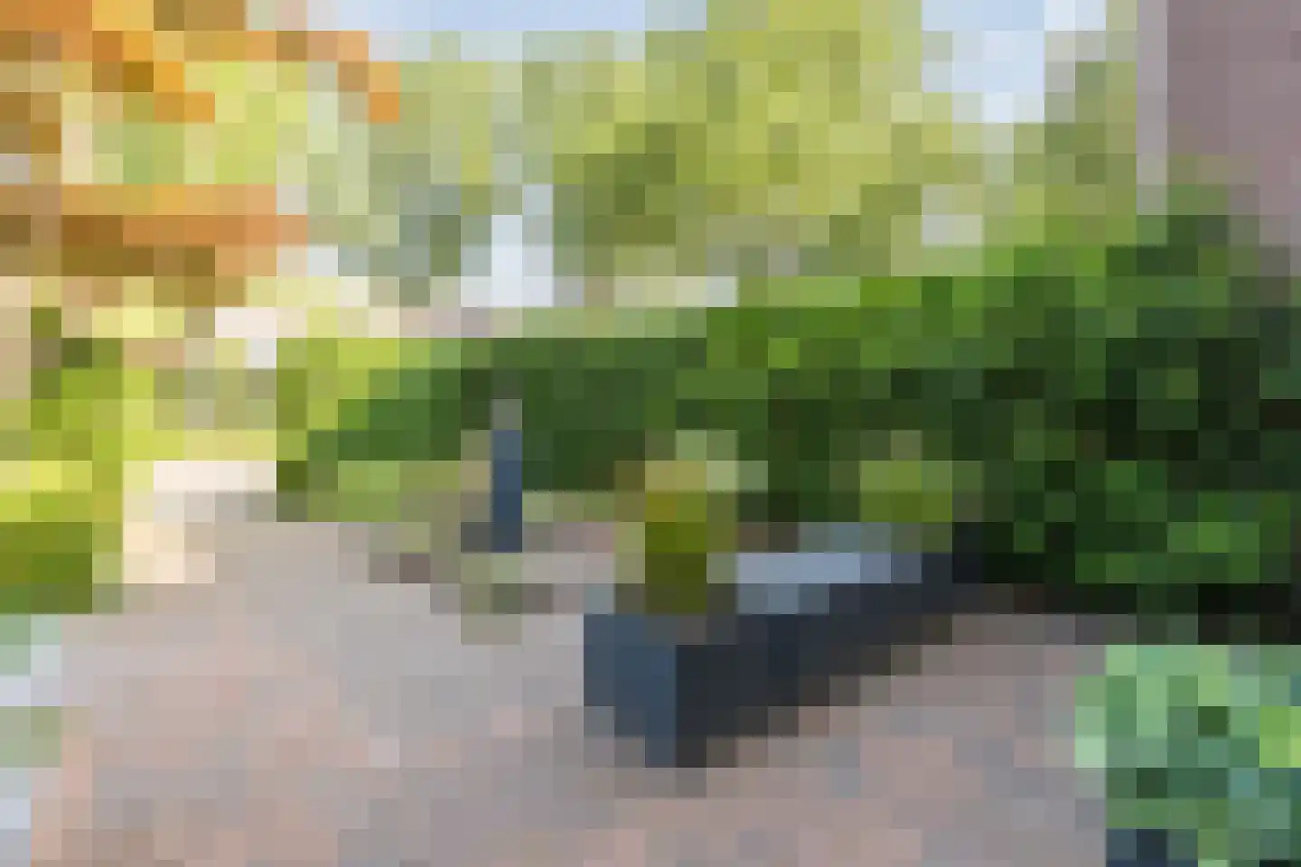 Roerdomp 5 Mijdrecht thumbnail 29