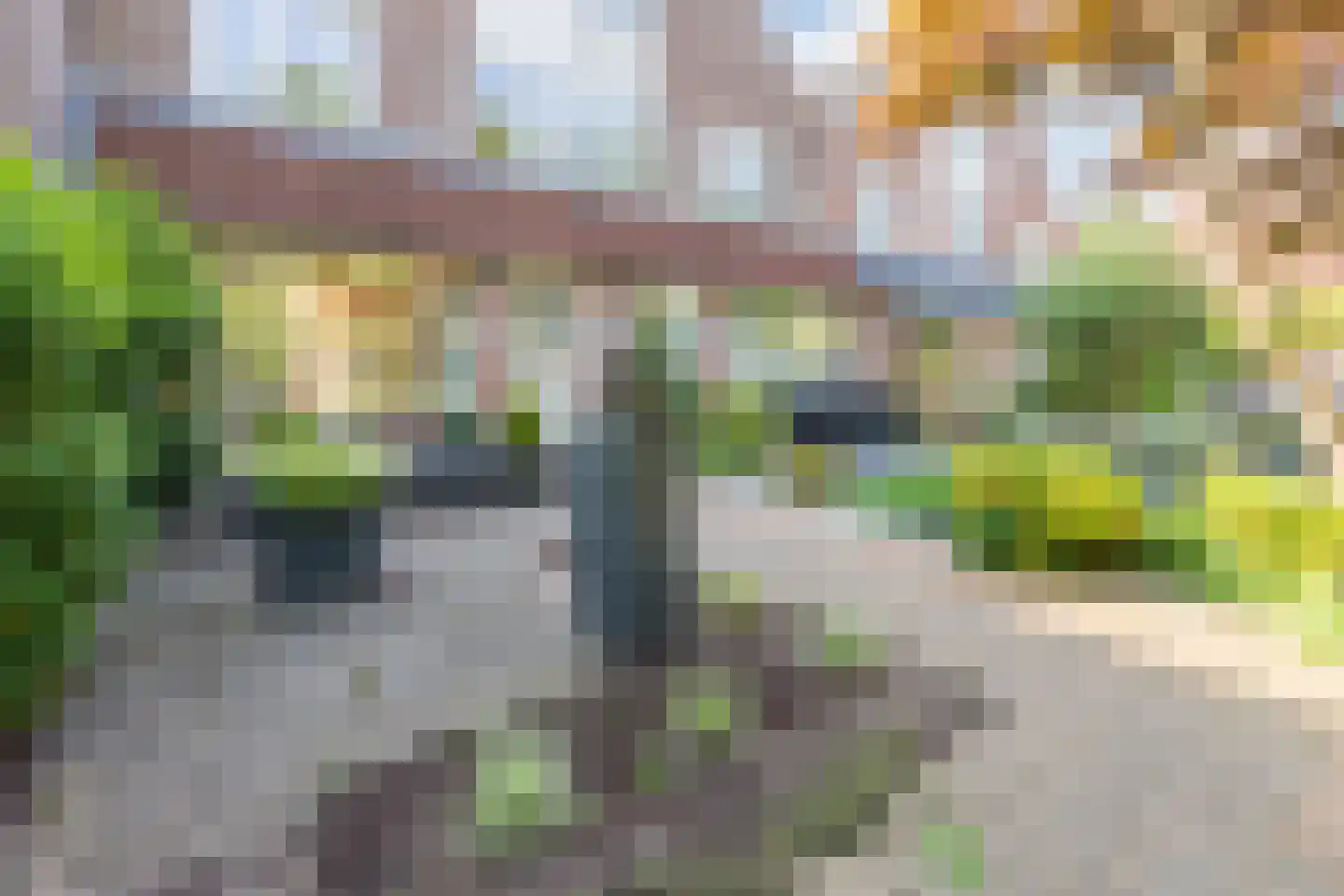 Roerdomp 5 Mijdrecht thumbnail 30