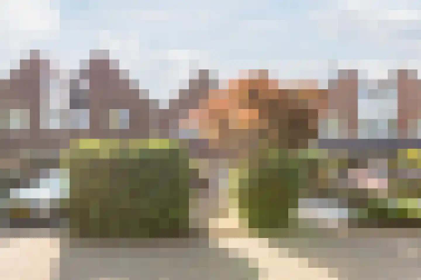 Roerdomp 5 Mijdrecht thumbnail 31
