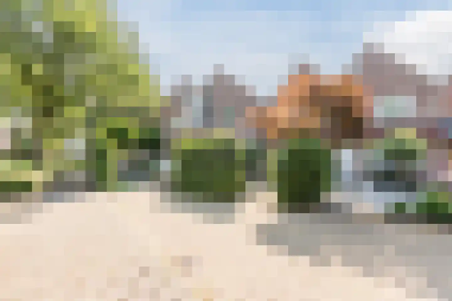 Roerdomp 5 Mijdrecht thumbnail 32