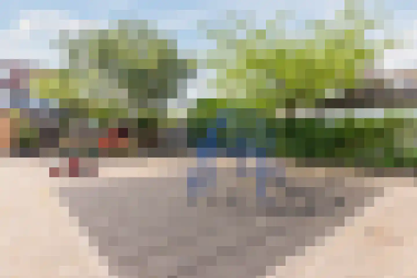 Roerdomp 5 Mijdrecht thumbnail 33