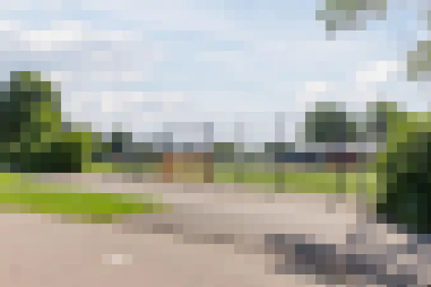 Roerdomp 5 Mijdrecht thumbnail 34
