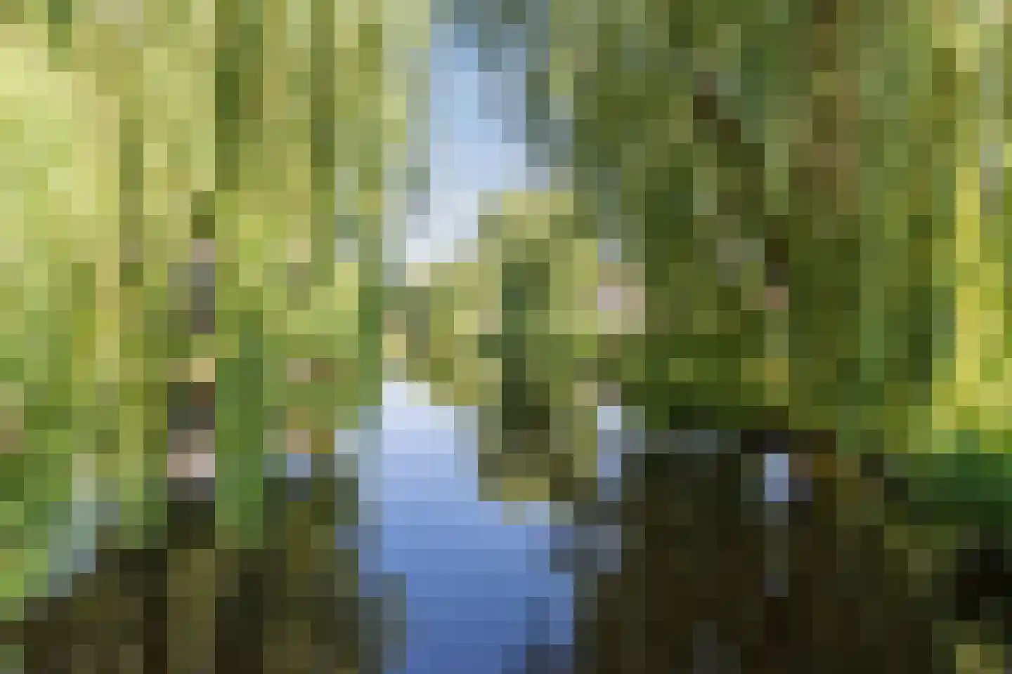 Roerdomp 5 Mijdrecht thumbnail 36
