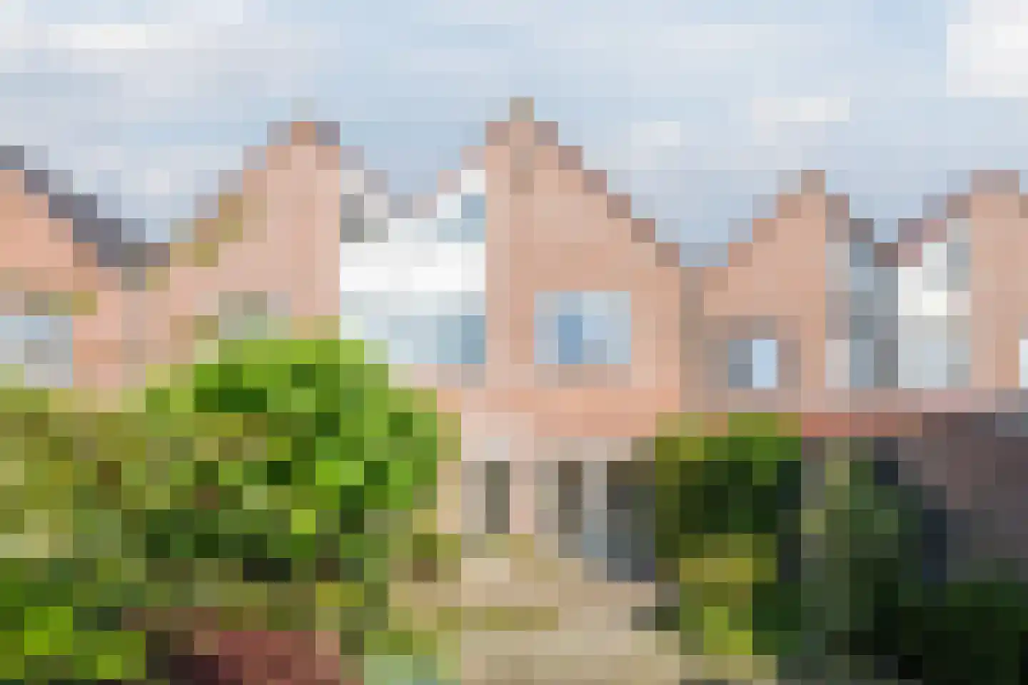 Roerdomp 5 Mijdrecht thumbnail 4