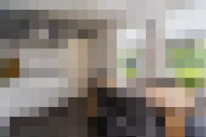 Roerdomp 5 Oude Pekela thumbnail 10
