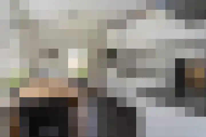 Roerdomp 5 Oude Pekela thumbnail 12