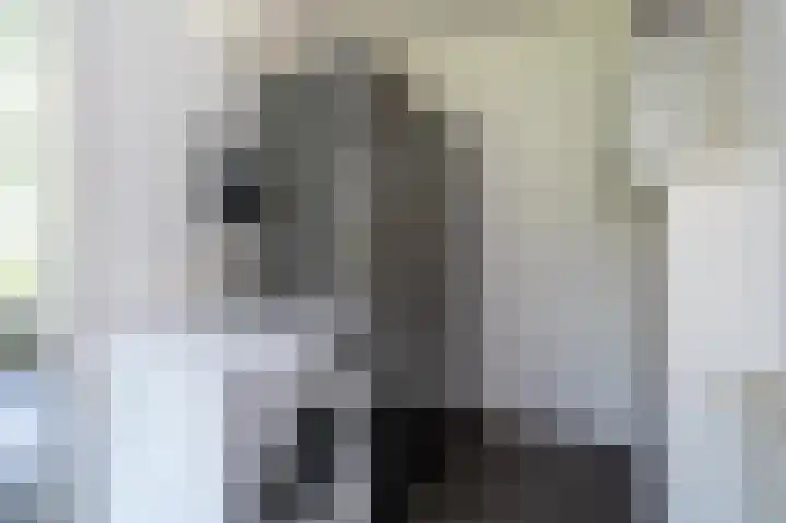 Roerdomp 5 Oude Pekela thumbnail 13