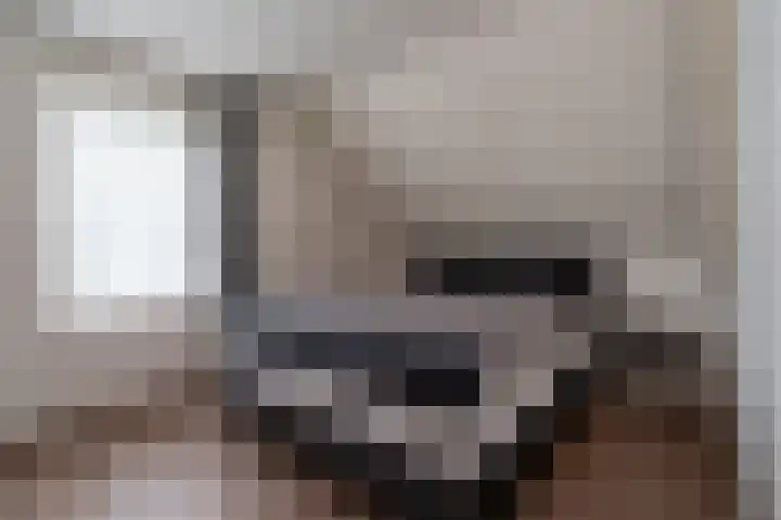 Roerdomp 5 Oude Pekela thumbnail 18