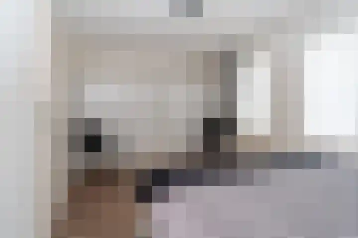Roerdomp 5 Oude Pekela thumbnail 19
