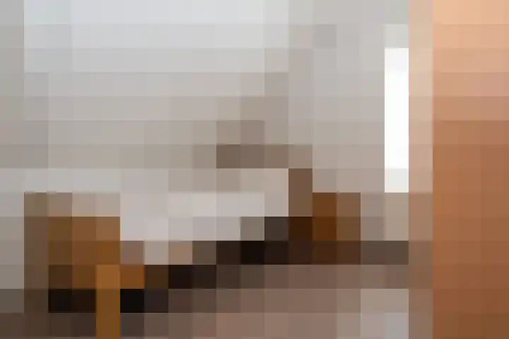 Roerdomp 5 Oude Pekela thumbnail 22