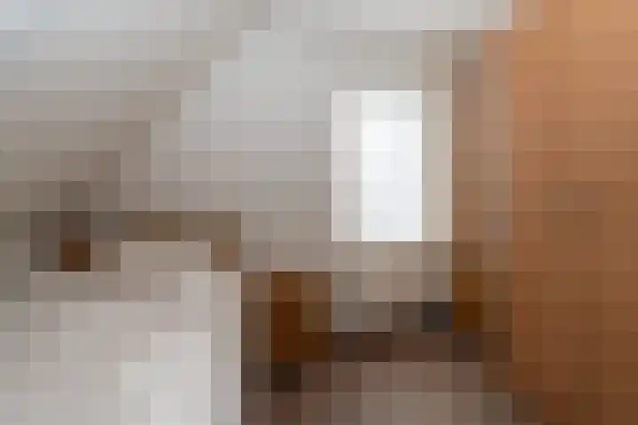 Roerdomp 5 Oude Pekela thumbnail 24
