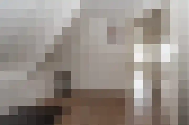 Roerdomp 5 Oude Pekela thumbnail 26