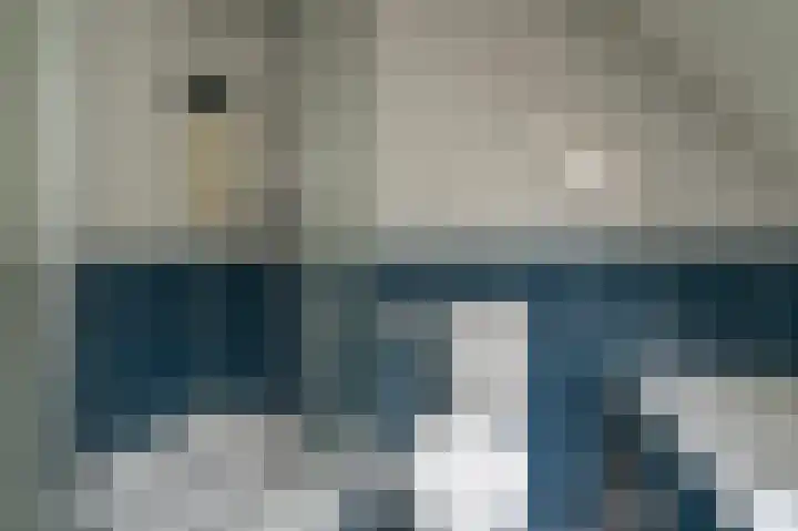 Roerdomp 5 Oude Pekela thumbnail 30