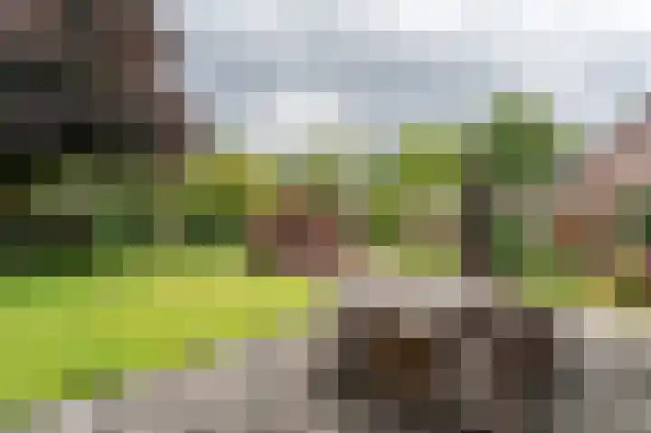 Roerdomp 5 Oude Pekela thumbnail 31