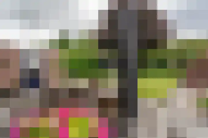 Roerdomp 5 Oude Pekela thumbnail 32