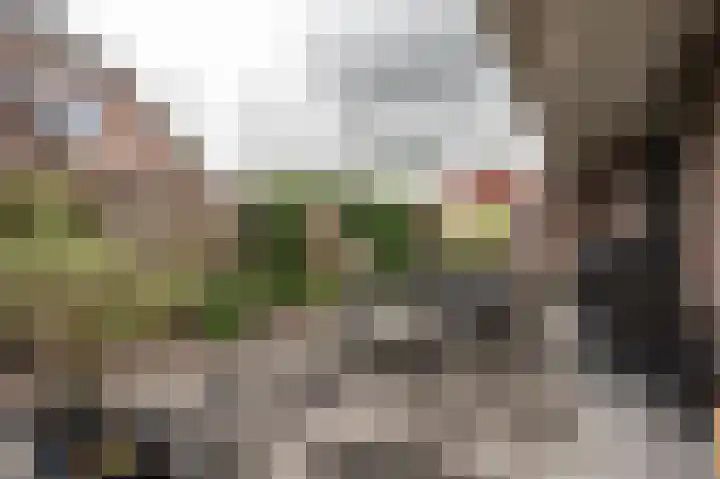 Roerdomp 5 Oude Pekela thumbnail 33