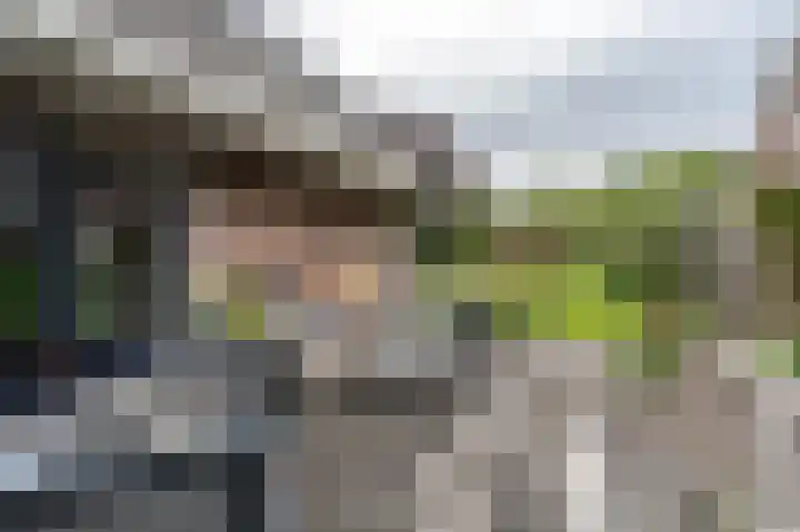 Roerdomp 5 Oude Pekela thumbnail 34