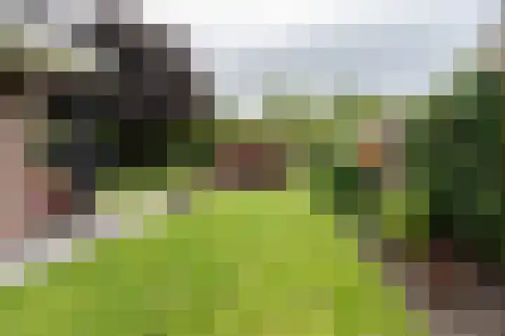 Roerdomp 5 Oude Pekela thumbnail 35