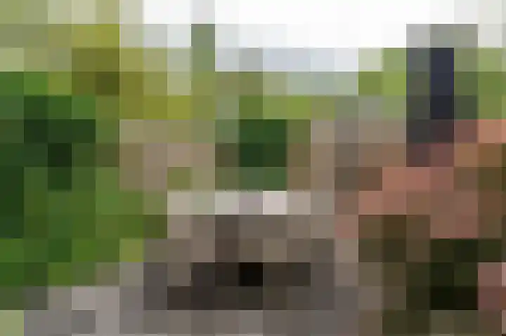 Roerdomp 5 Oude Pekela thumbnail 36