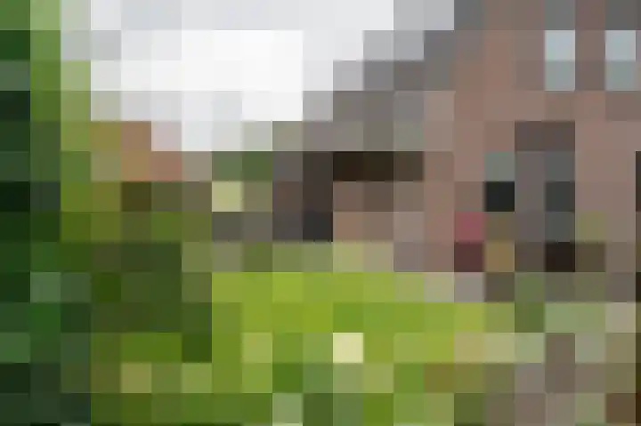 Roerdomp 5 Oude Pekela thumbnail 38