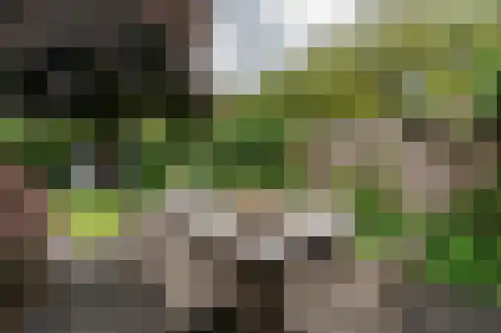 Roerdomp 5 Oude Pekela thumbnail 39