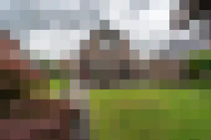 Roerdomp 5 Oude Pekela thumbnail 40