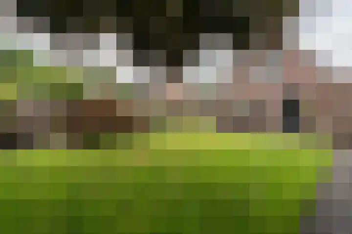 Roerdomp 5 Oude Pekela thumbnail 41