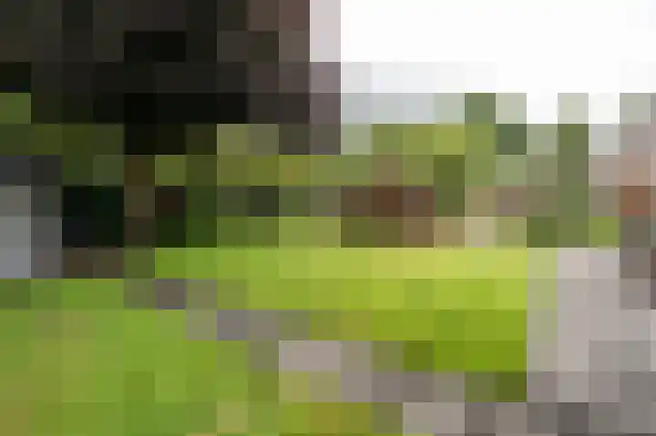 Roerdomp 5 Oude Pekela thumbnail 42