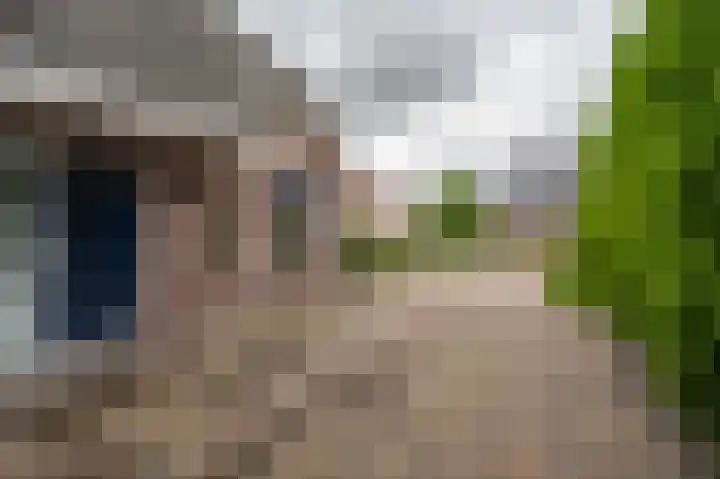 Roerdomp 5 Oude Pekela thumbnail 43