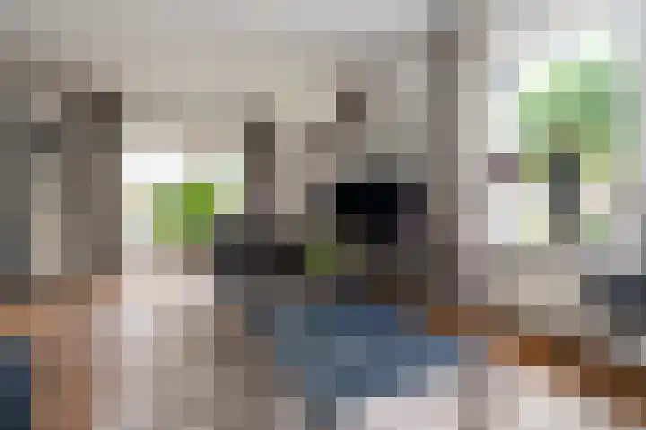 Roerdomp 5 Oude Pekela thumbnail 6