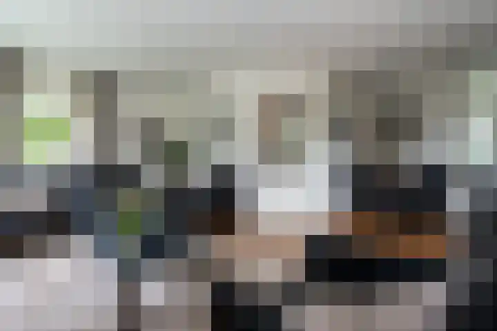Roerdomp 5 Oude Pekela thumbnail 7