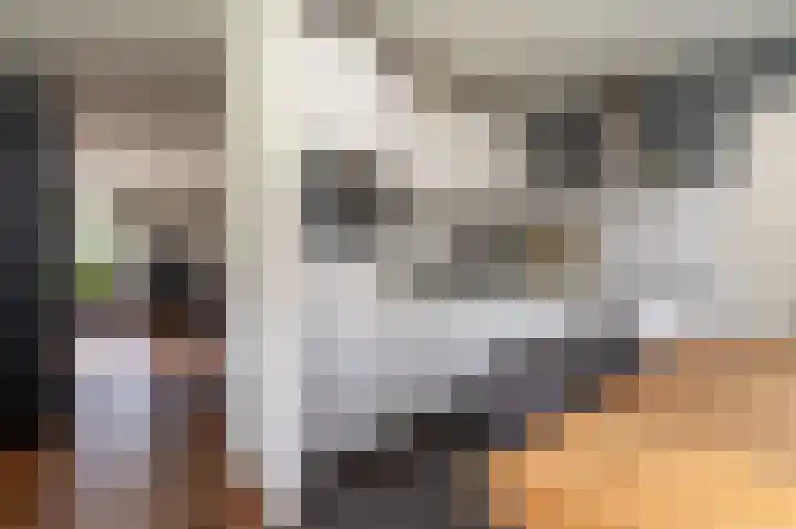 Roerdomp 5 Oude Pekela thumbnail 9