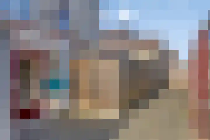Roerdomp 5 Rijssen thumbnail 10