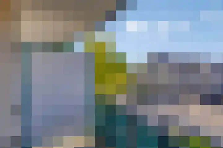 Roerdomp 5 Rijssen thumbnail 17