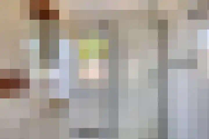 Roerdomp 5 Rijssen thumbnail 21